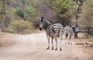 The_Waterberg_1