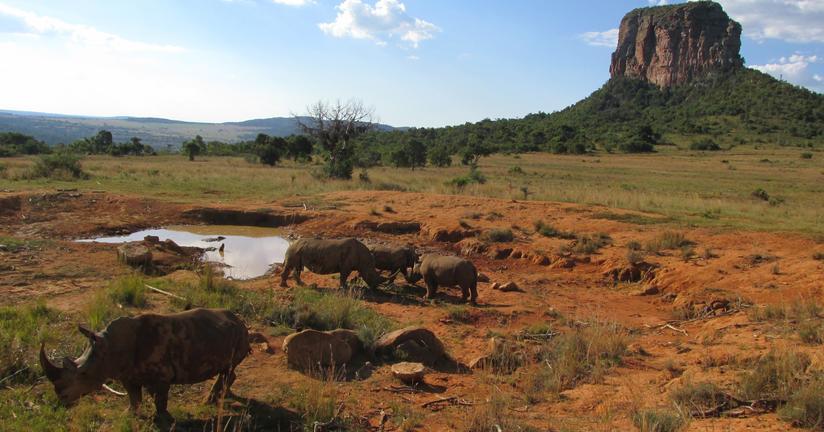 The_Waterberg_2