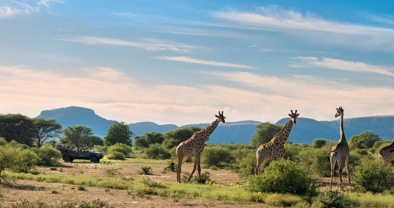 afrique du sud