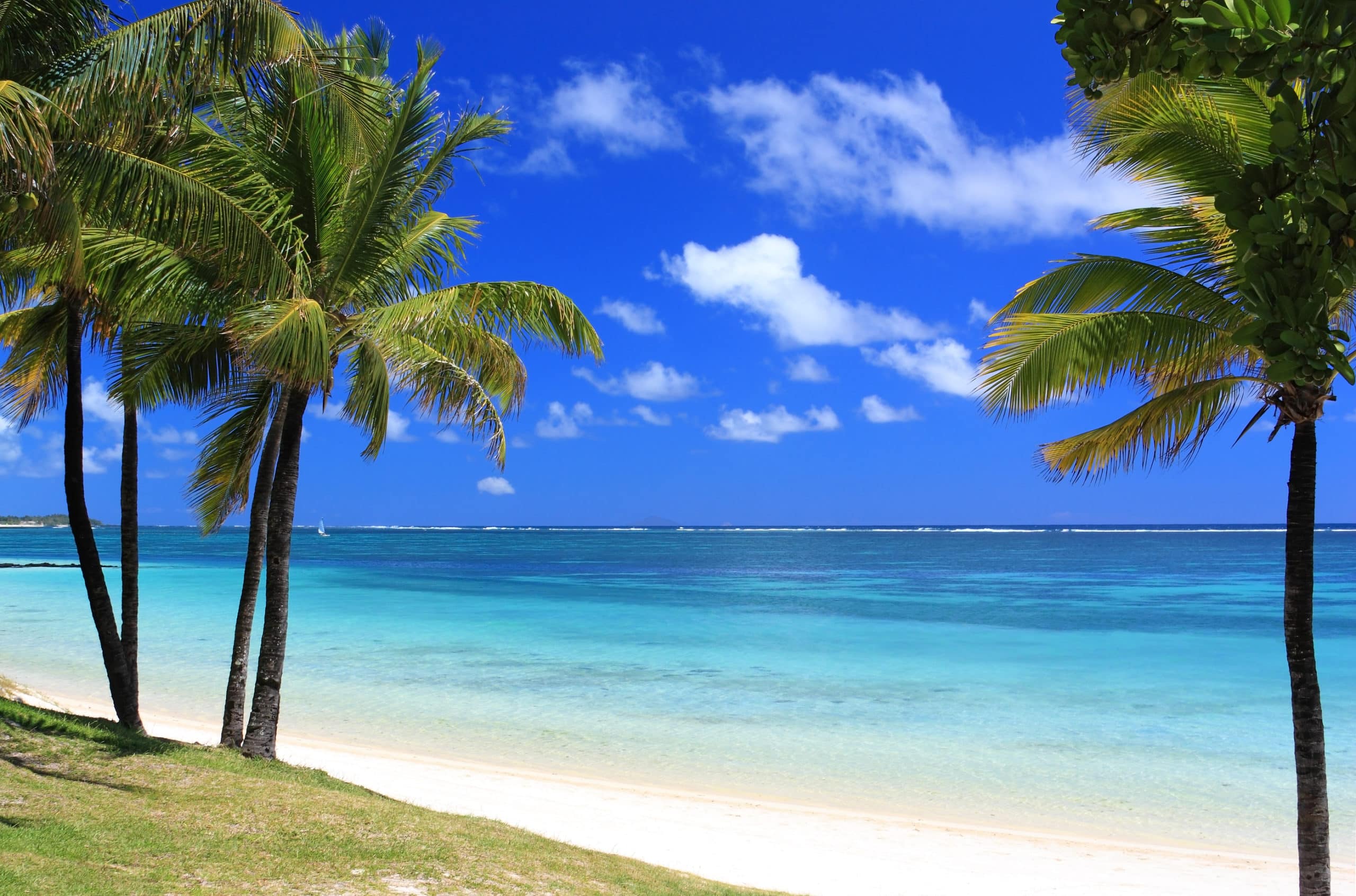 Paradise Beach In Mauritius Island